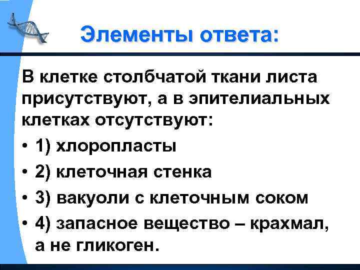 Элементы ответа: В клетке столбчатой ткани листа присутствуют, а в эпителиальных клетках отсутствуют: •