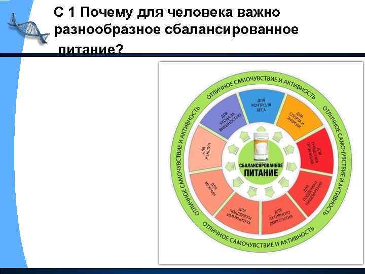 С 1 Почему для человека важно разнообразное сбалансированное питание? 