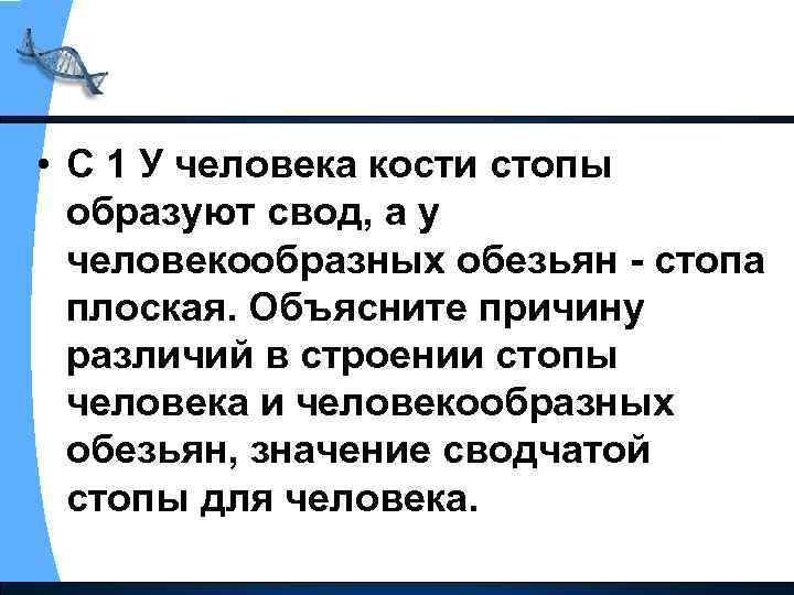  • С 1 У человека кости стопы образуют свод, а у человекообразных обезьян