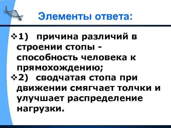 Элементы ответа: v 1) причина различий в строении стопы способность человека к прямохождению; v