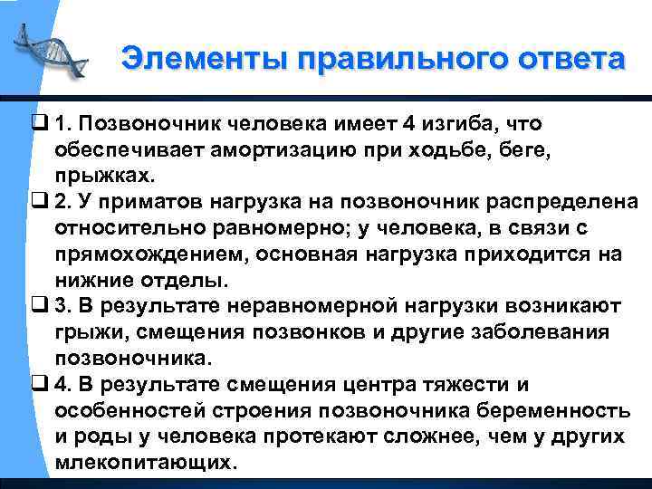 Элементы правильного ответа q 1. Позвоночник человека имеет 4 изгиба, что обеспечивает амортизацию при