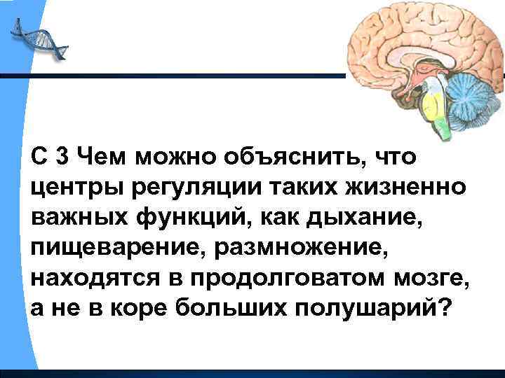 С 3 Чем можно объяснить, что центры регуляции таких жизненно важных функций, как дыхание,