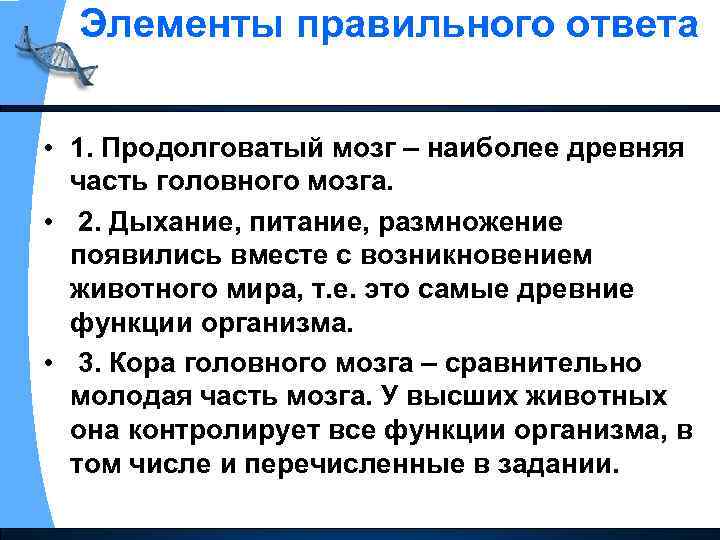 Элементы правильного ответа • 1. Продолговатый мозг – наиболее древняя часть головного мозга. •