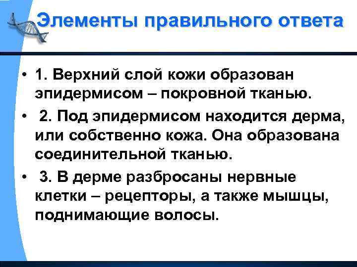 Элементы правильного ответа • 1. Верхний слой кожи образован эпидермисом – покровной тканью. •