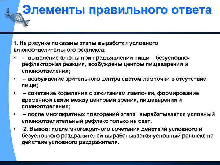 Элементы правильного ответа 1. На рисунке показаны этапы выработки условного слюноотделительного рефлекса: • –