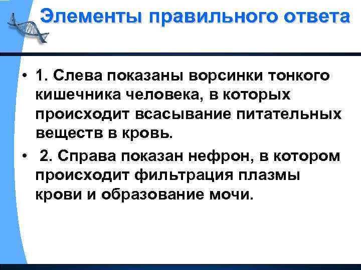 Элементы правильного ответа • 1. Слева показаны ворсинки тонкого кишечника человека, в которых происходит