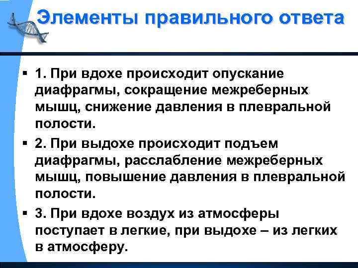 Элементы правильного ответа § 1. При вдохе происходит опускание диафрагмы, сокращение межреберных мышц, снижение