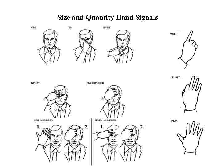 Size and Quantity Hand Signals 