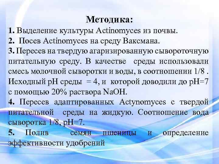 Методика: 1. Выделение культуры Actinomyces из почвы. 2. Посев Actinomyces на среду Ваксмана. 3.