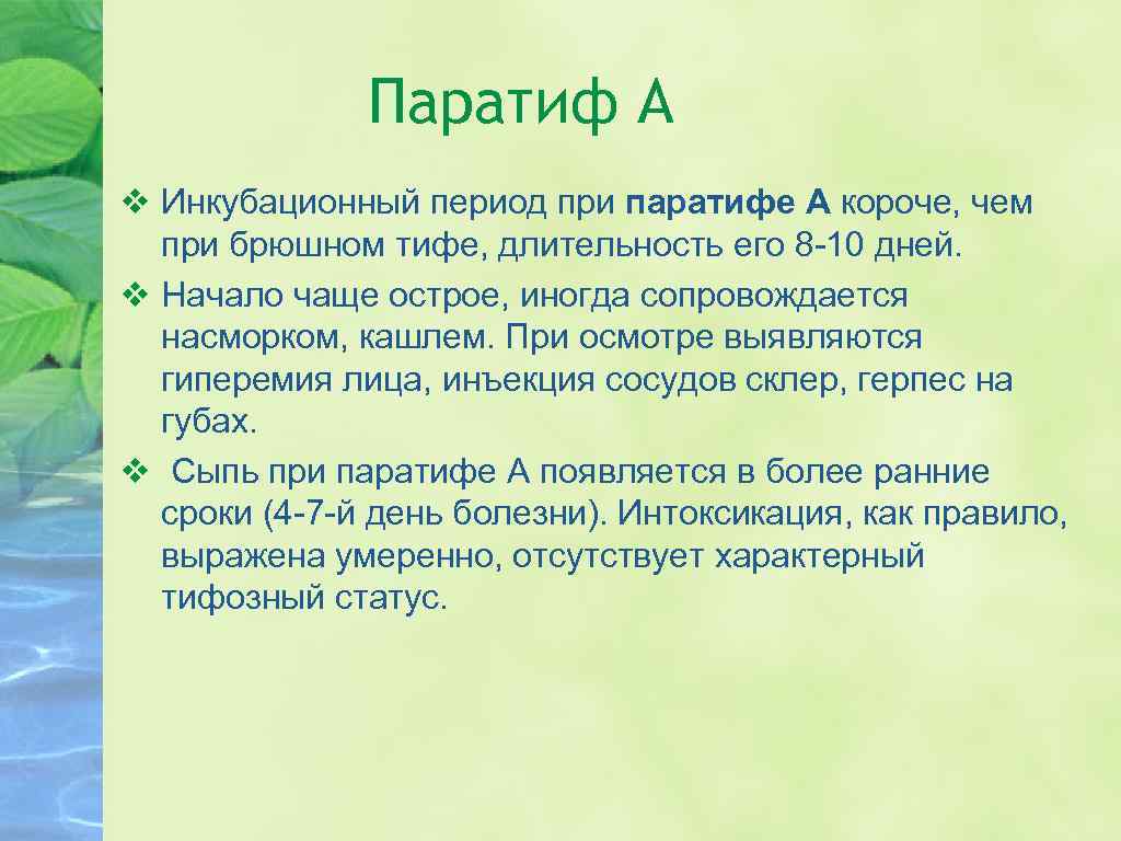 Паратиф А v Инкубационный период при паратифе А короче, чем при брюшном тифе, длительность