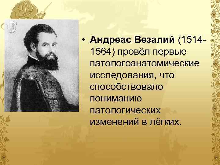 Андреас везалий. Везалий ученый. Везалий годы жизни. Андрей Везалий портрет. Везалий его достижения.