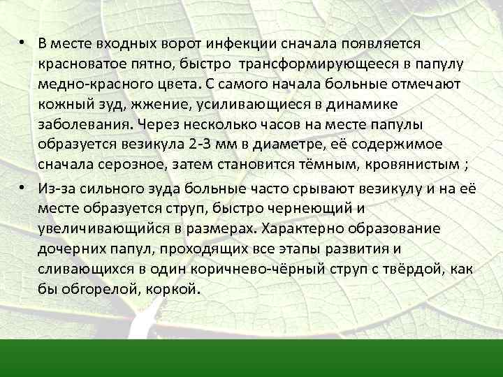  • В месте входных ворот инфекции сначала появляется красноватое пятно, быстро трансформирующееся в