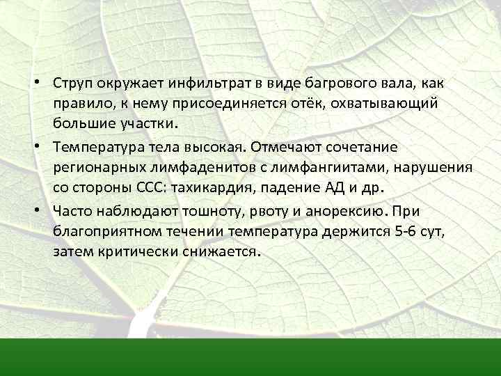  • Струп окружает инфильтрат в виде багрового вала, как правило, к нему присоединяется