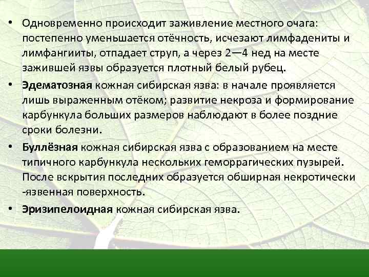  • Одновременно происходит заживление местного очага: постепенно уменьшается отёчность, исчезают лимфадениты и лимфангииты,