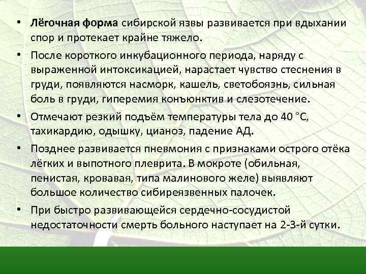  • Лёгочная форма сибирской язвы развивается при вдыхании спор и протекает крайне тяжело.