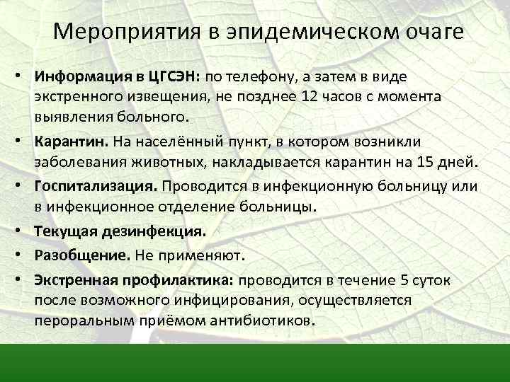 Мероприятия в эпидемическом очаге • Информация в ЦГСЭН: по телефону, а затем в виде