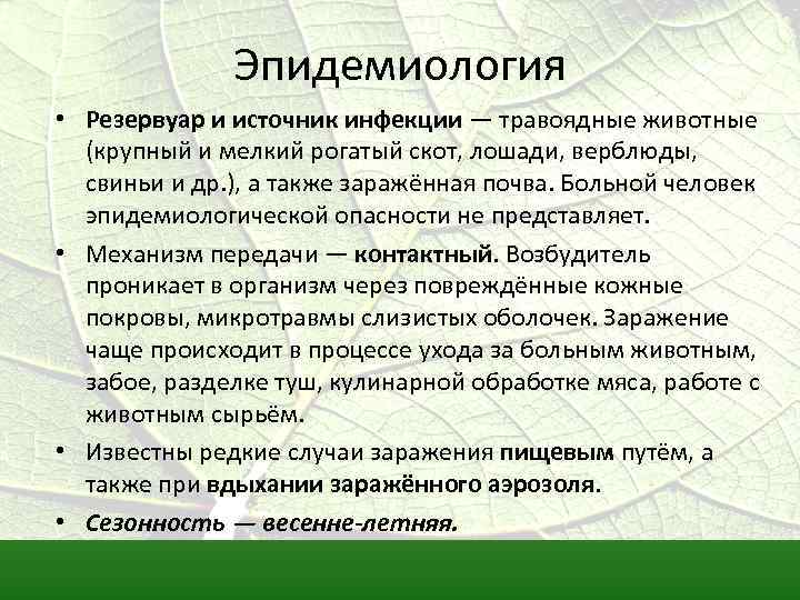 Эпидемиология • Резервуар и источник инфекции — травоядные животные (крупный и мелкий рогатый скот,
