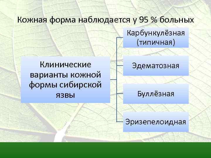 Кожная форма наблюдается у 95 % больных Карбункулёзная (типичная) Клинические варианты кожной формы сибирской