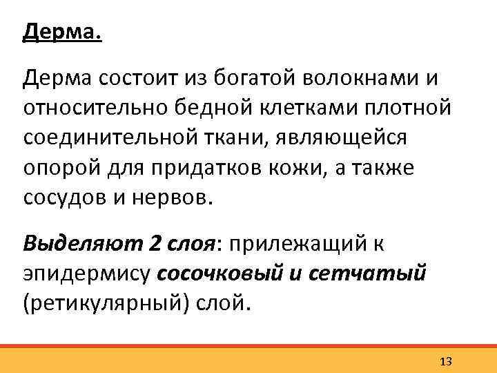 Дерма состоит из богатой волокнами и относительно бедной клетками плотной соединительной ткани, являющейся опорой