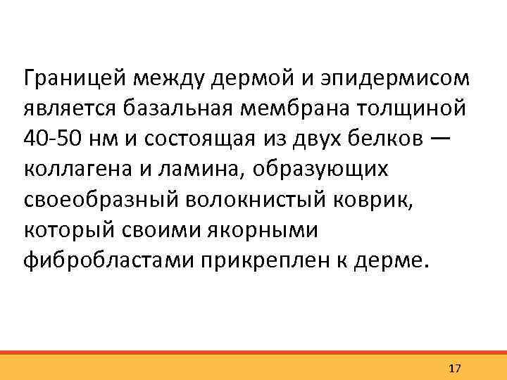 Границей между дермой и эпидермисом является базальная мембрана толщиной 40 50 нм и состоящая