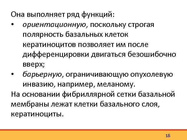 Она выполняет ряд функций: • ориентационную, поскольку строгая полярность базальных клеток кератиноцитов позволяет им