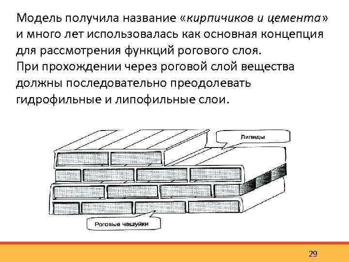 Модель получила название «кирпичиков и цемента» и много лет использовалась как основная концепция для