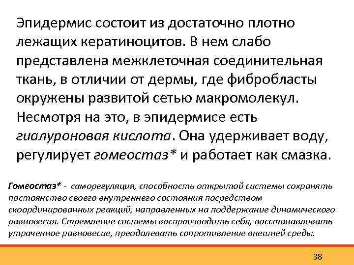 Эпидермис состоит из достаточно плотно лежащих кератиноцитов. В нем слабо представлена межклеточная соединительная ткань,