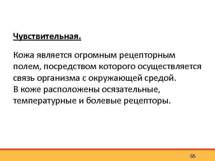 Чувствительная. Кожа является огромным рецепторным полем, посредством которого осуществляется связь организма с окружающей средой.