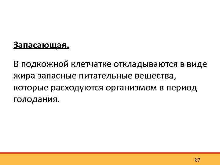 Запасающая. В подкожной клетчатке откладываются в виде жира запасные питательные вещества, которые расходуются организмом