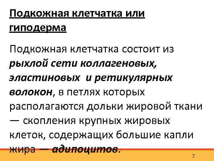 Подкожная клетчатка или гиподерма Подкожная клетчатка состоит из рыхлой сети коллагеновых, эластиновых и ретикулярных