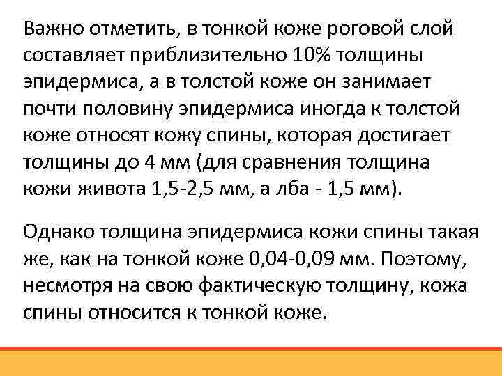 Важно отметить, в тонкой коже роговой слой составляет приблизительно 10% толщины эпидермиса, а в