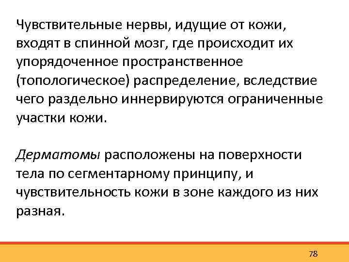 Чувствительные нервы, идущие от кожи, входят в спинной мозг, где происходит их упорядоченное пространственное