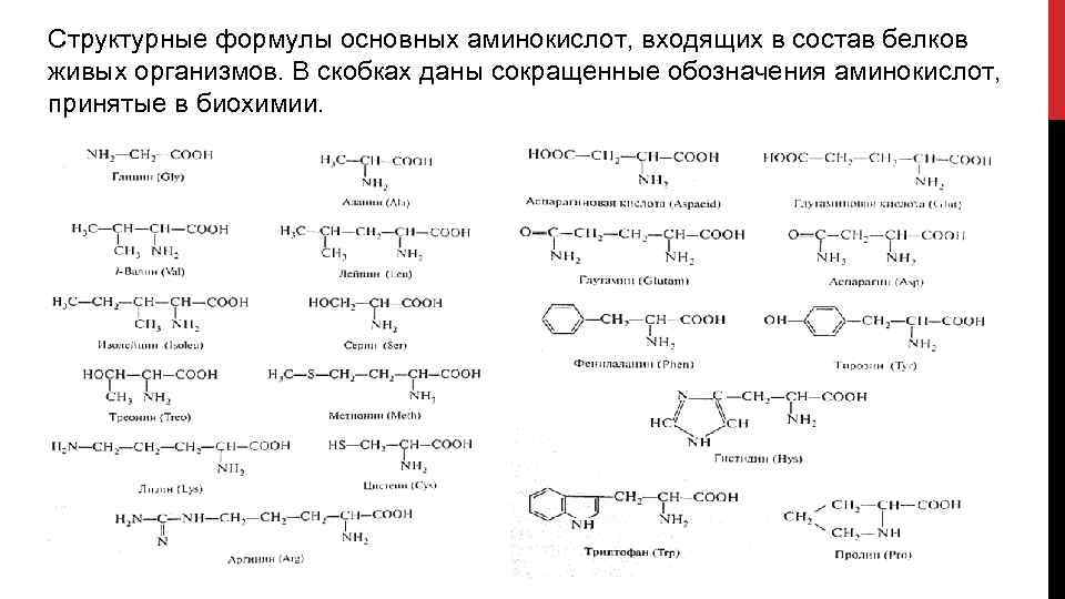 Технологическая карта аминокислоты