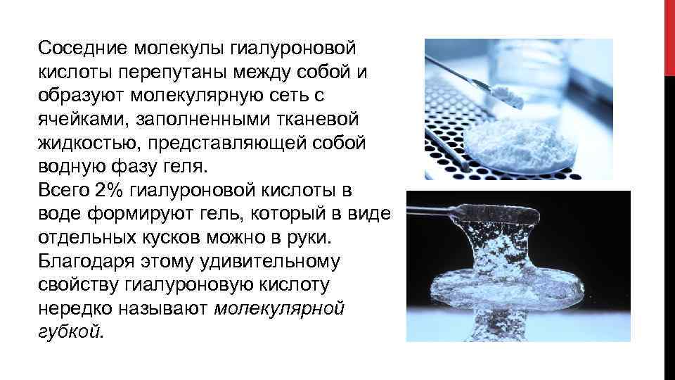 Соседние молекулы гиалуроновой кислоты перепутаны между собой и образуют молекулярную сеть с ячейками, заполненными