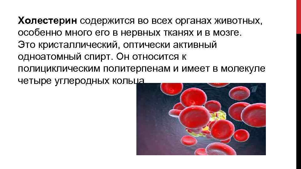 Холестерин содержится во всех органах животных, особенно много его в нервных тканях и в