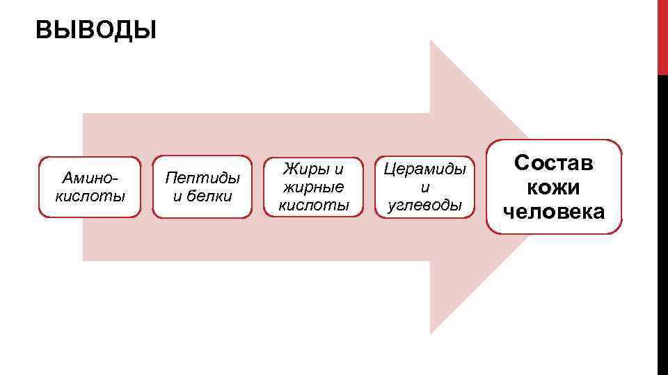 ВЫВОДЫ Аминокислоты Пептиды и белки Жиры и жирные кислоты Церамиды и углеводы Состав кожи