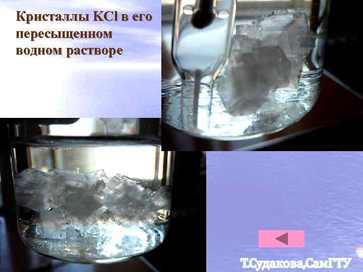 Кристаллы KCl в его пересыщенном водном растворе 