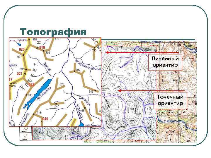 Топография Линейный ориентир Точечный ориентир 