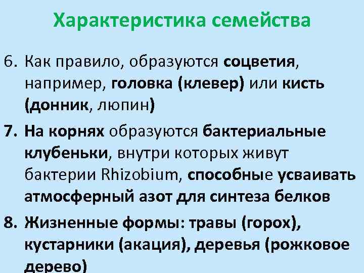 Характеристика семейства 6. Как правило, образуются соцветия, например, головка (клевер) или кисть (донник, люпин)