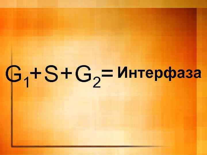 + S + G 2= Интерфаза G 1 