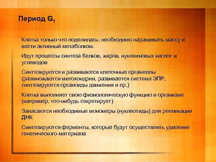 Период G 1 Клетка только что поделилась: необходимо наращивать массу и вести активный метаболизм.