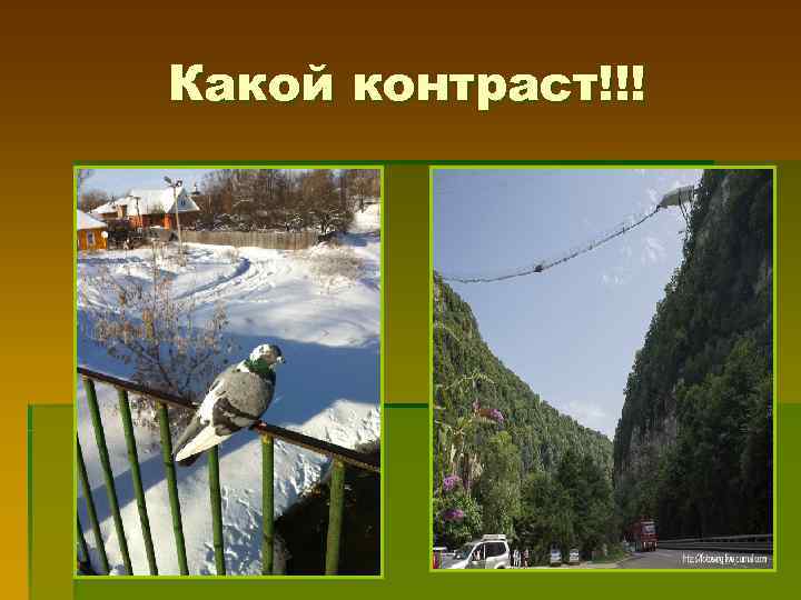 Какой контраст!!! 