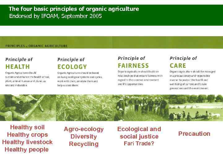 The four basic principles of organic agriculture Endorsed by IFOAM, September 2005 Healthy soil