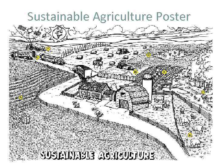 Sustainable Agriculture Poster 