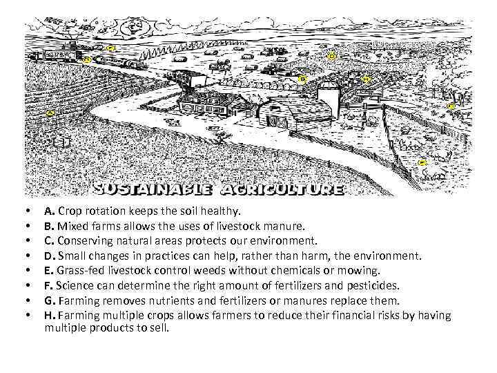  • • A. Crop rotation keeps the soil healthy. B. Mixed farms allows