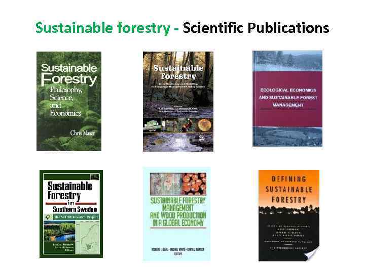 Sustainable forestry - Scientific Publications 