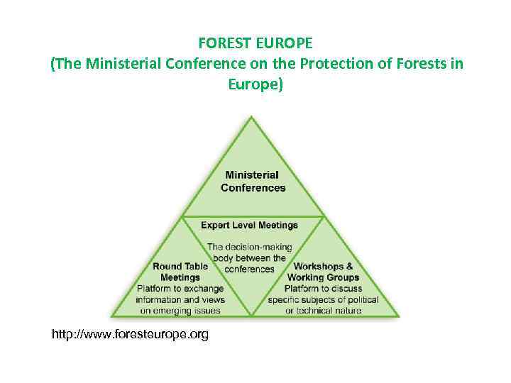 FOREST EUROPE (The Ministerial Conference on the Protection of Forests in Europe) http: //www.