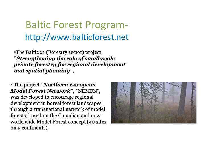 Baltic Forest Program- http: //www. balticforest. net • The Baltic 21 (Forestry sector) project