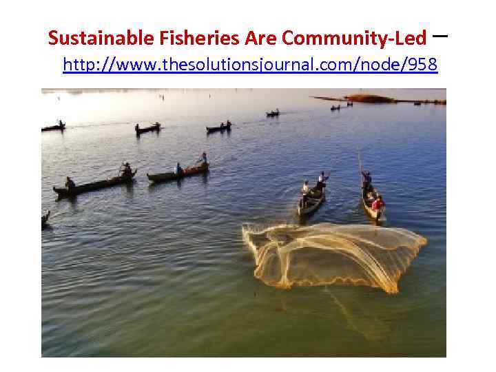 Sustainable Fisheries Are Community-Led – http: //www. thesolutionsjournal. com/node/958 