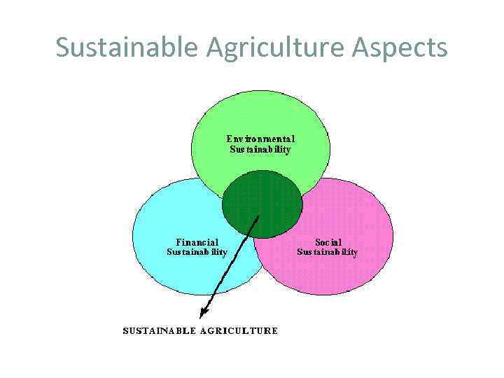 Sustainable Agriculture Aspects 